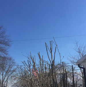 Meet your Posher, Cameron